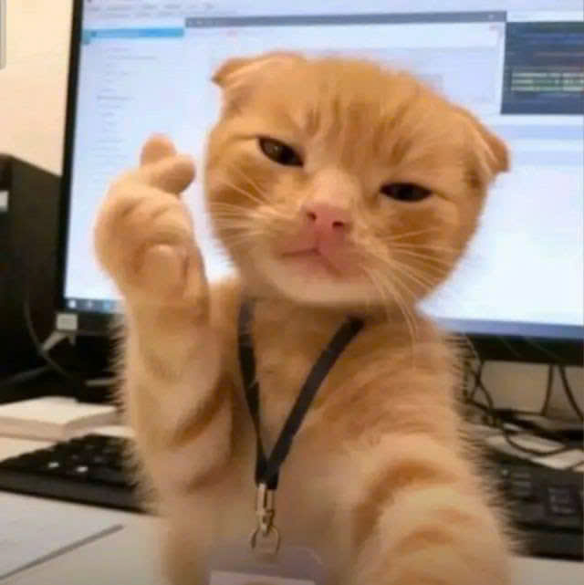user